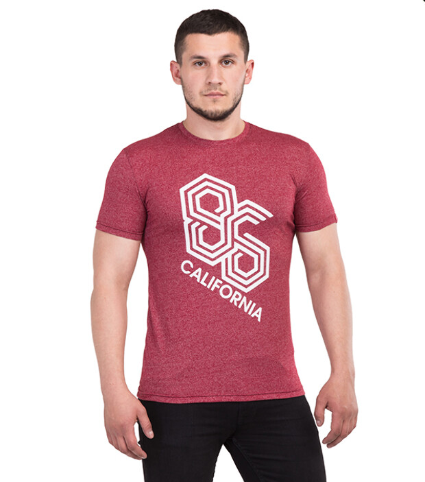 Мужская футболка california 86 7056