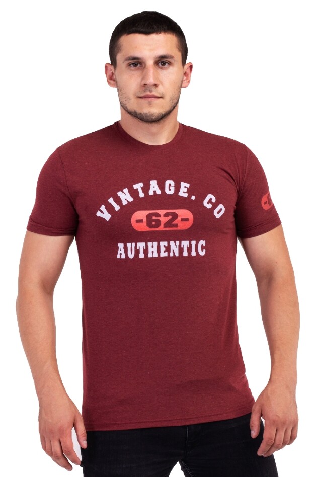 Мужская футболка vintage. co 7049