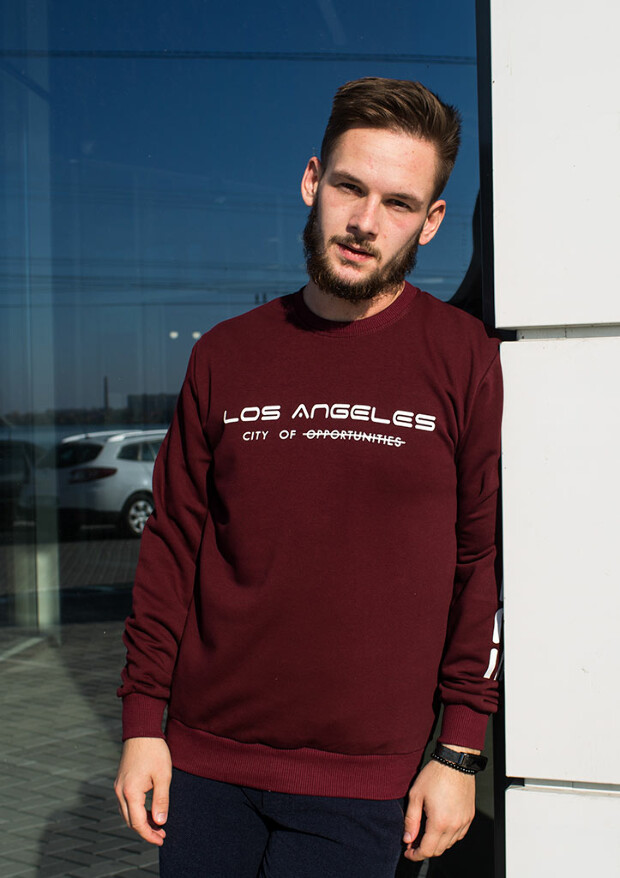 Свитшот los angeles 8062