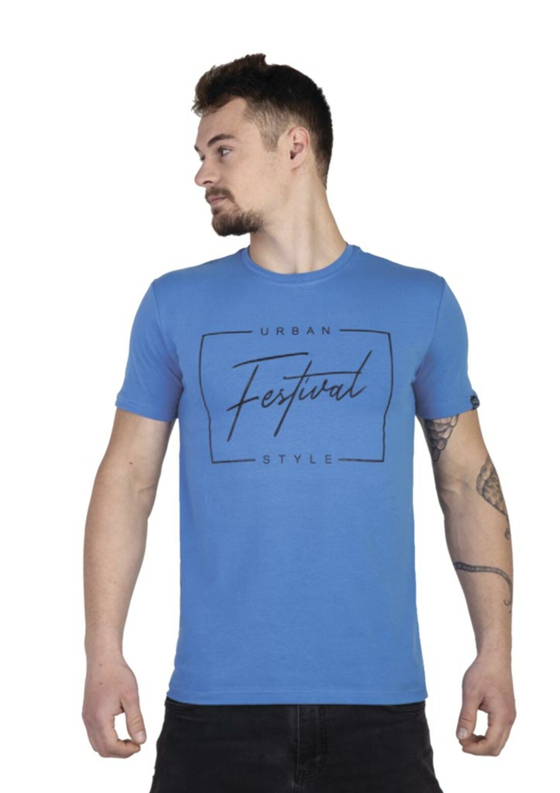 Мужская футболка футболка festival 15029