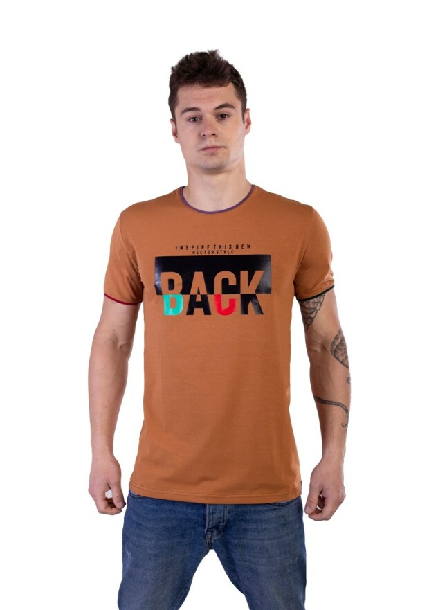 Чоловіча футболка back 15093