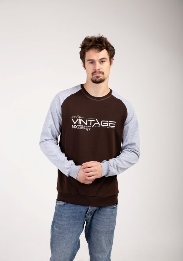 Реглан vintage 17100