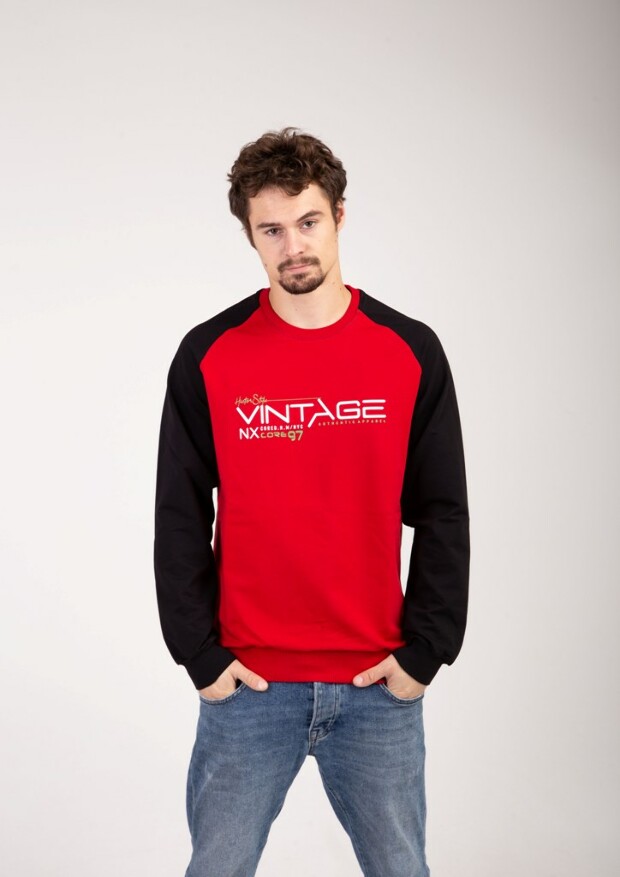 Реглан vintage 17100