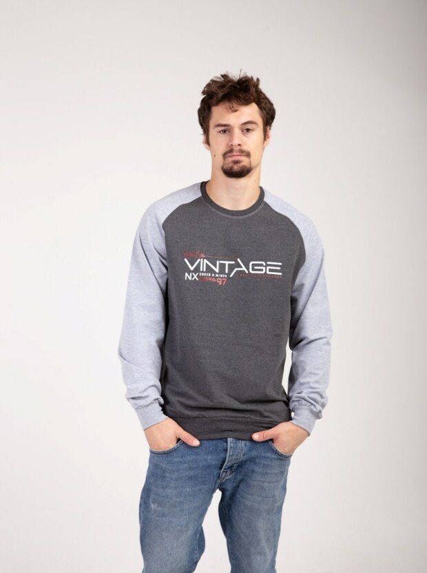 Реглан vintage 17100