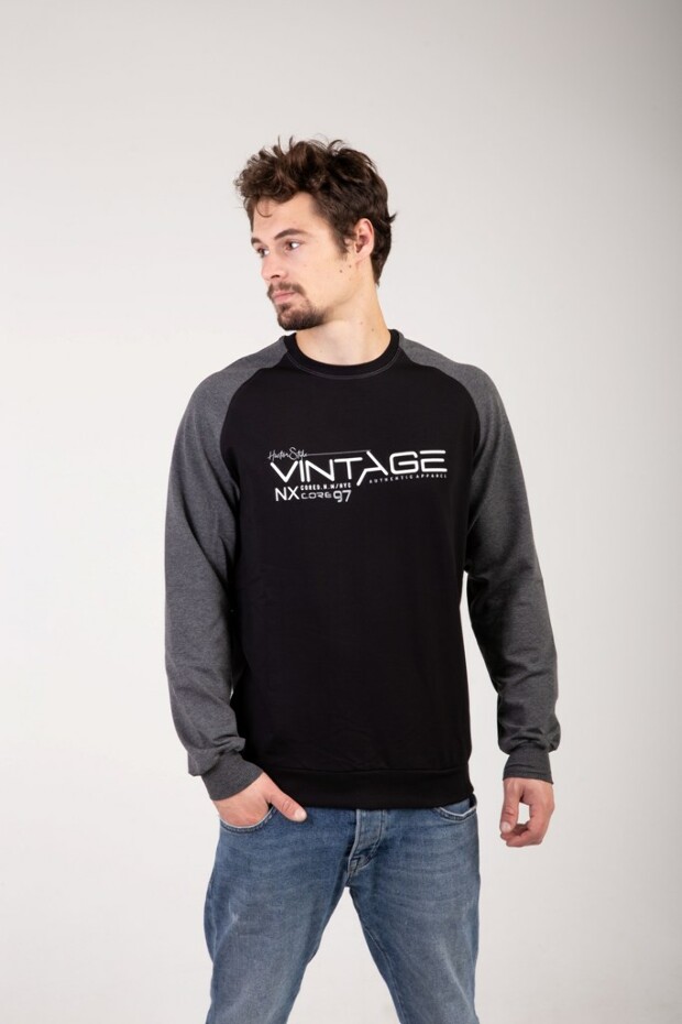 Реглан vintage 17100