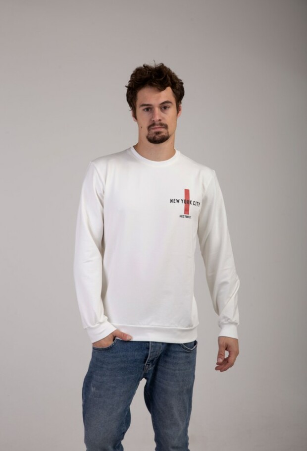 Свитшот new york city 17002