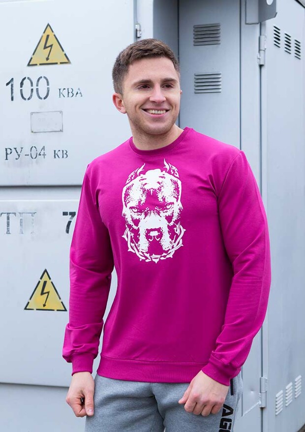 Мужской свитшот pit bull 17017