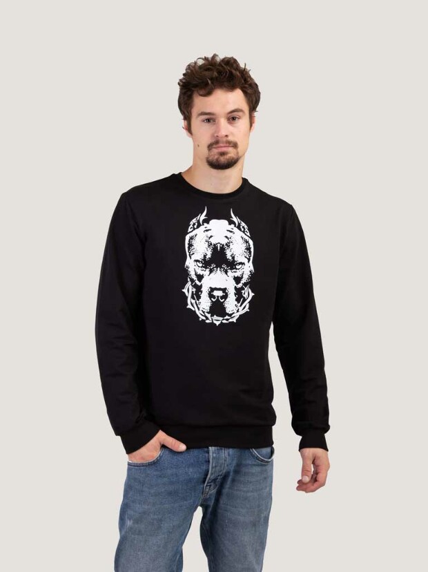 Мужской свитшот pit bull 17017