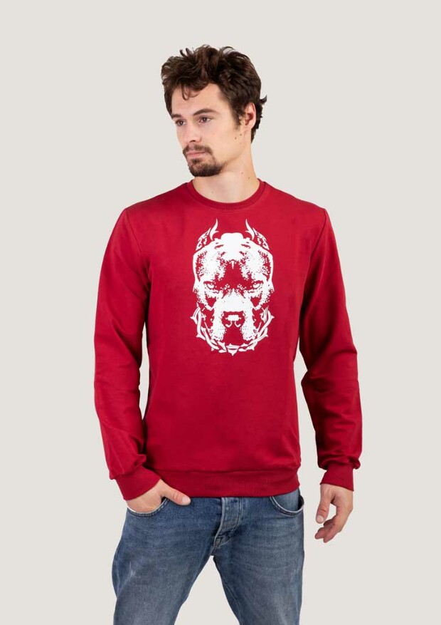 Мужской свитшот pit bull 17017