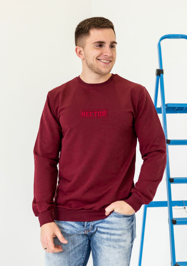 Чоловічий світшот із вишивкою hector 17031