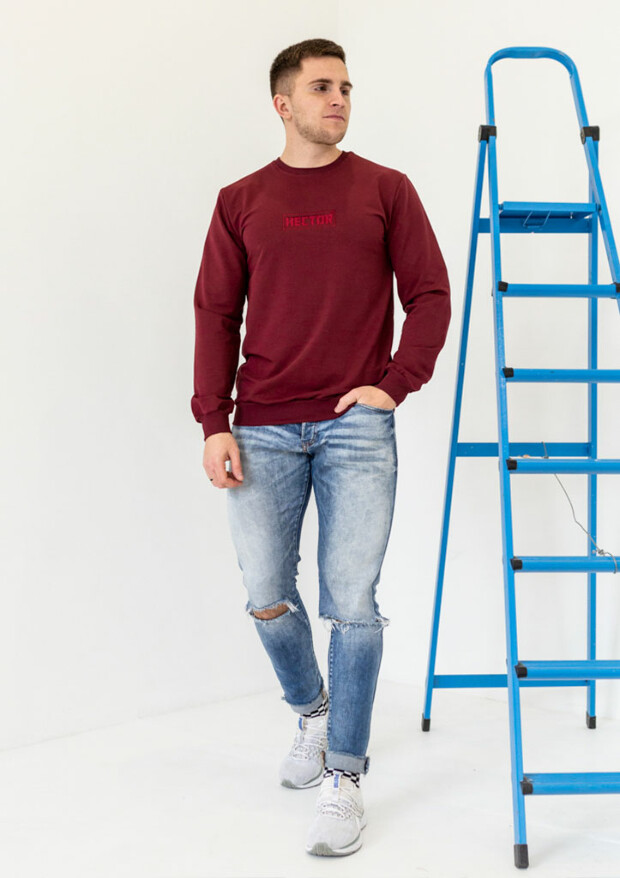 Чоловічий світшот із вишивкою hector 17031