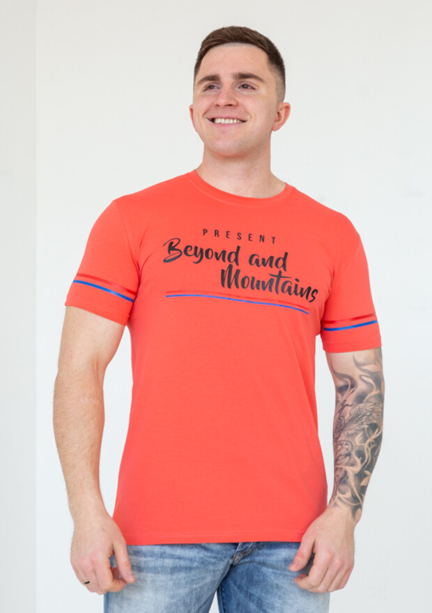 Футболка чоловіча beyond and mountains 22010