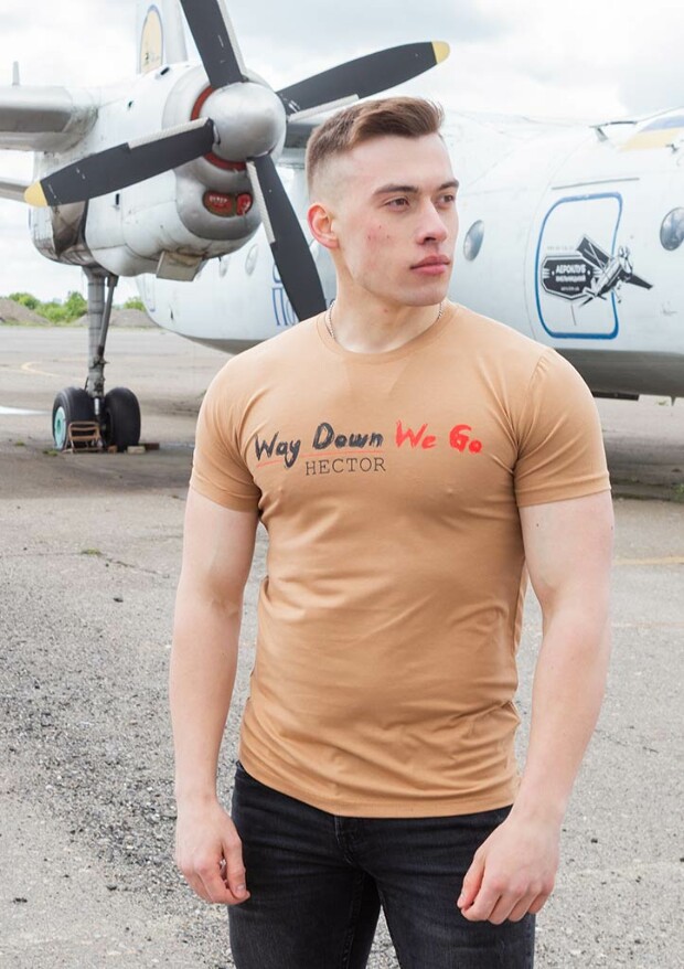 Чоловіча футболка way down we go 22012