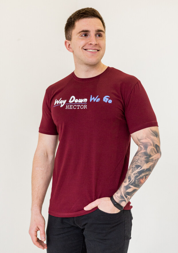 Чоловіча футболка way down we go 22012