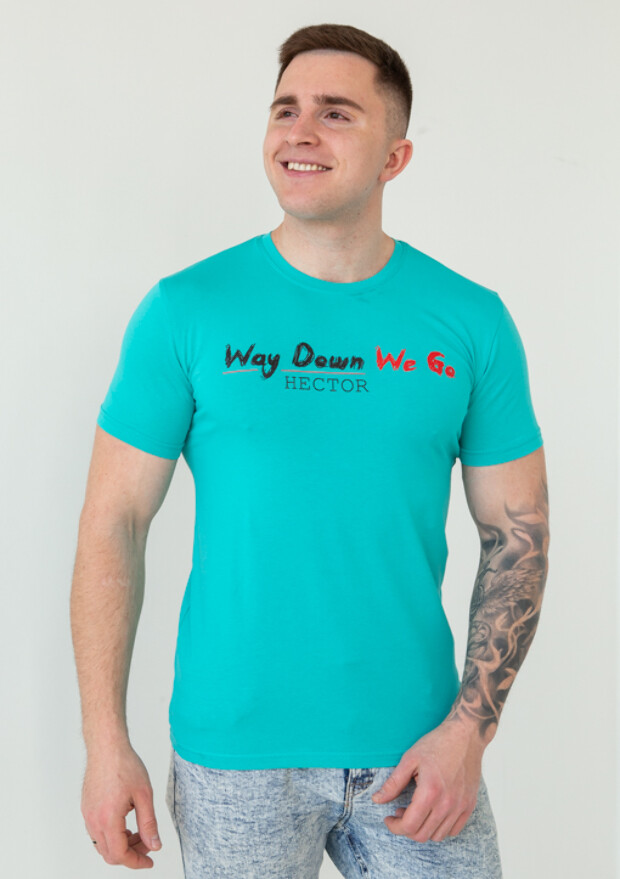 Чоловіча футболка way down we go 22012