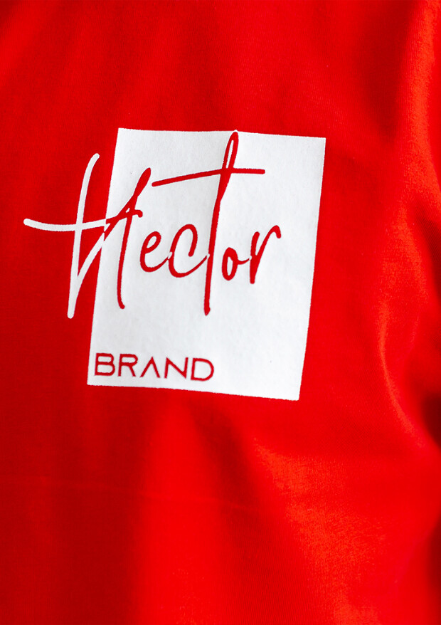 Чоловіча футболка великих розмірів hector brand 23017