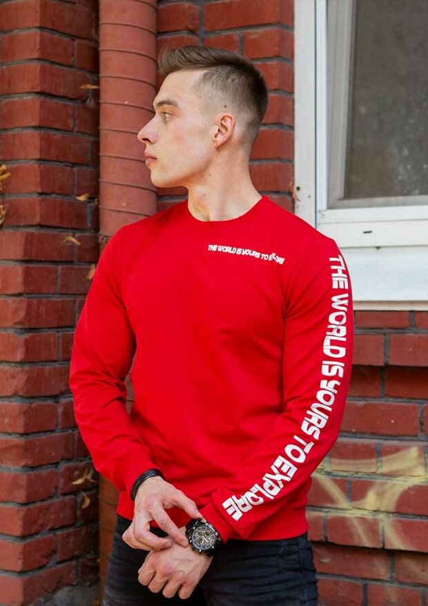 Чоловічий світшот the world 17082