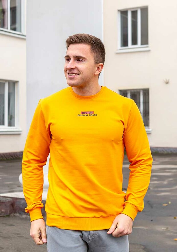 Чоловічий світшот hector original brand 17098
