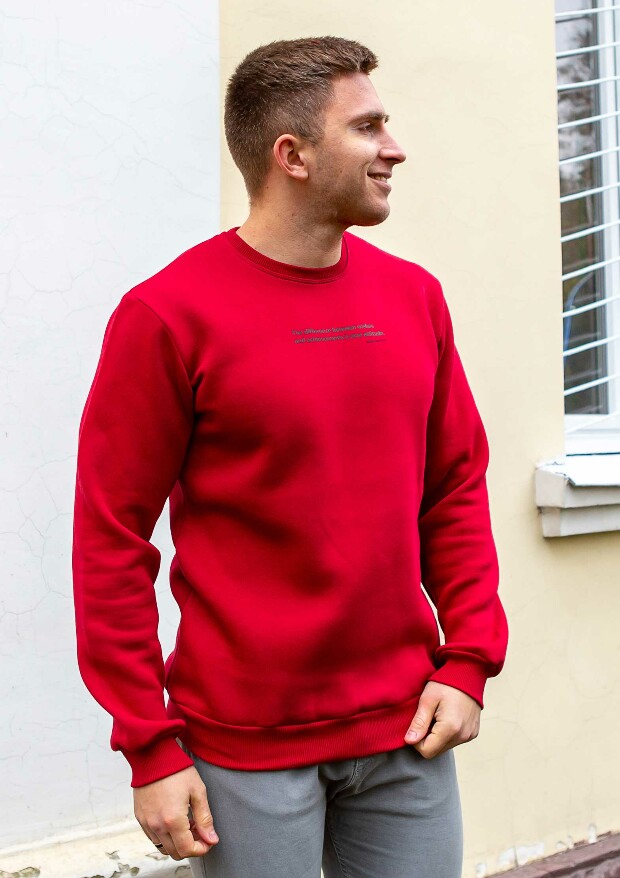 Теплий світшот великих розмірів the difference 30400