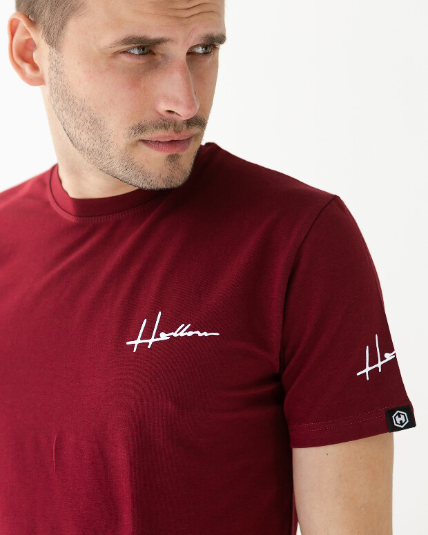 Оригінальна чоловіча футболка hector 40148