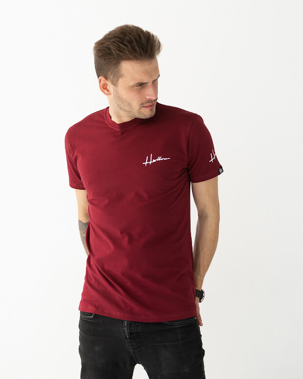 Оригінальна чоловіча футболка hector 40148