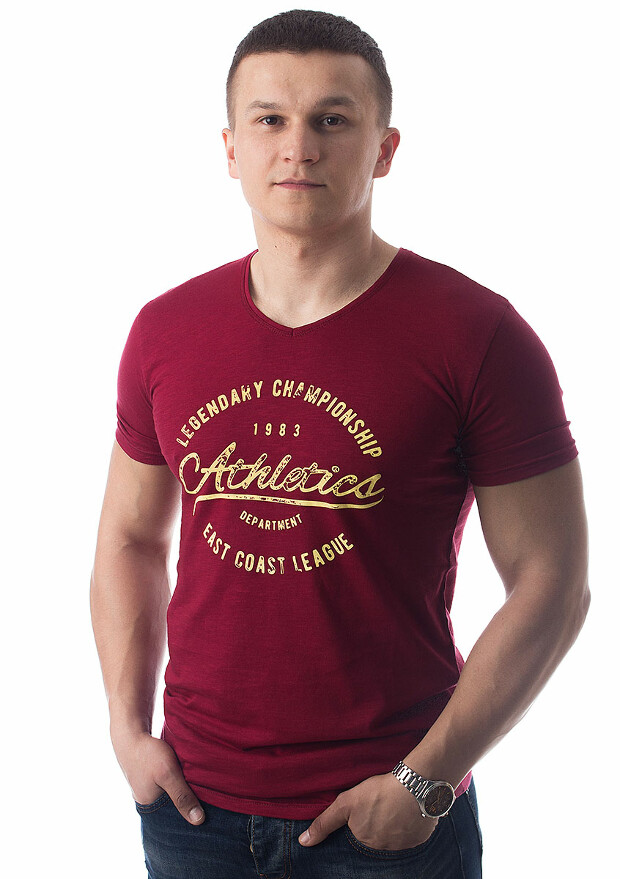 Футболка legendary championship athletic 5022