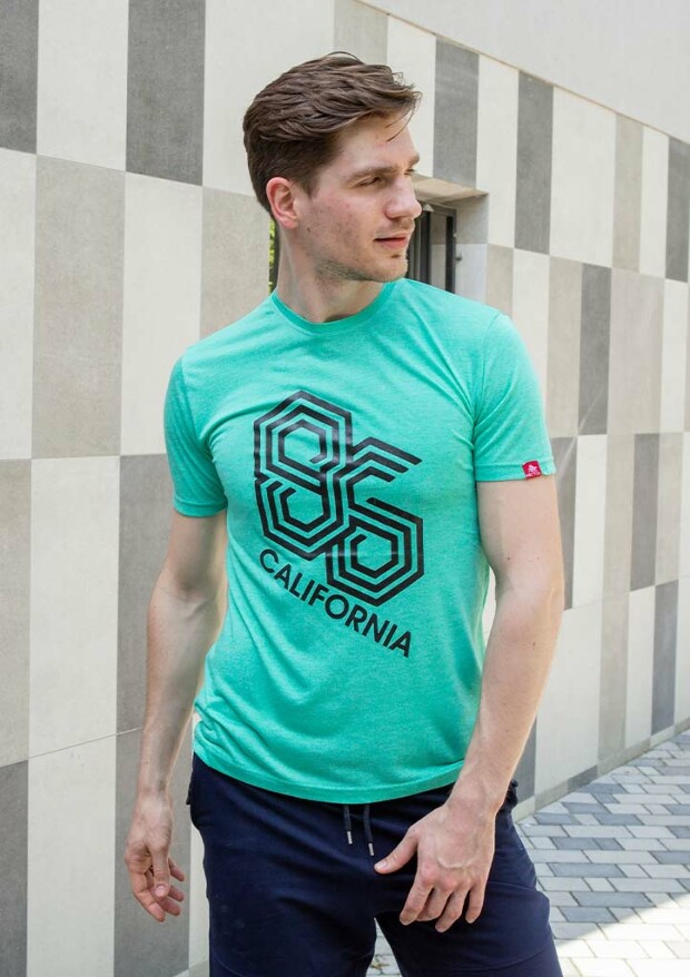 Мужская футболка california 86 7056