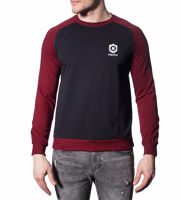 Реглан світшот 5414