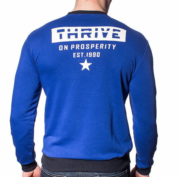 Свитшот thrive on prosperity 5374
