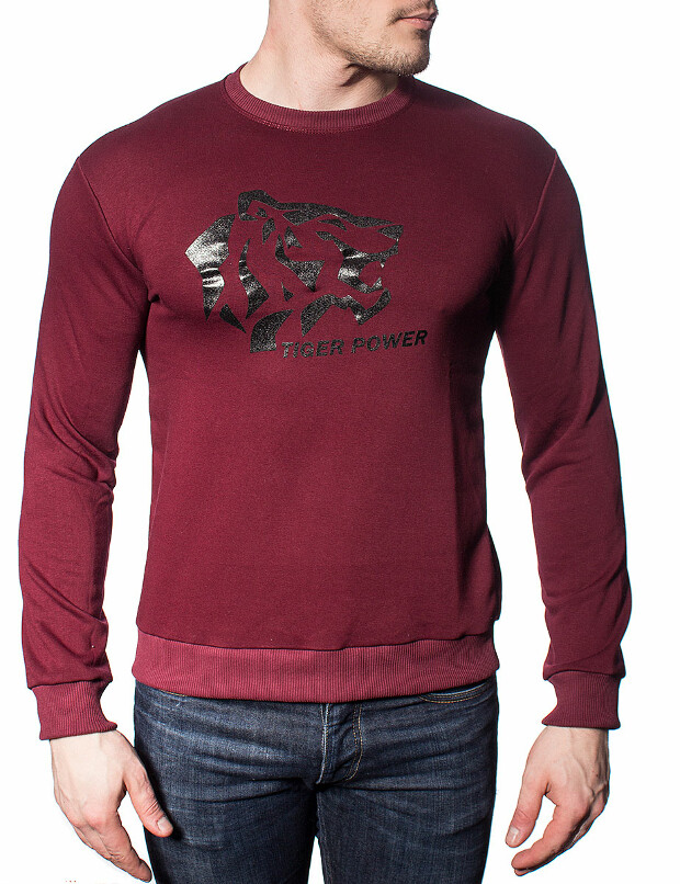 Свитшот tiger power 5375