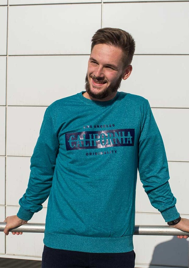 Чоловічий світшот california 5335, 5347