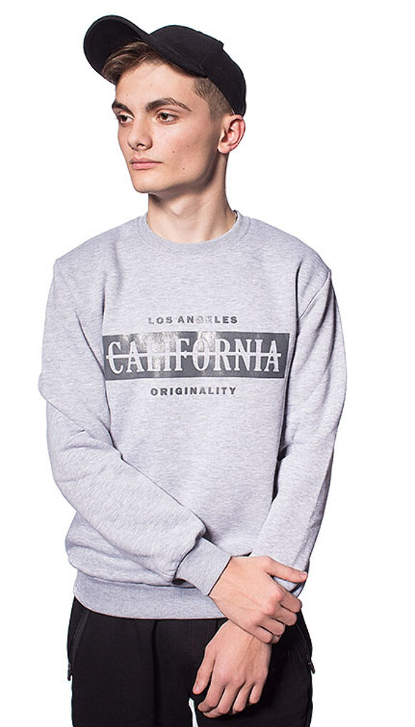 Чоловічий світшот california 5335, 5347