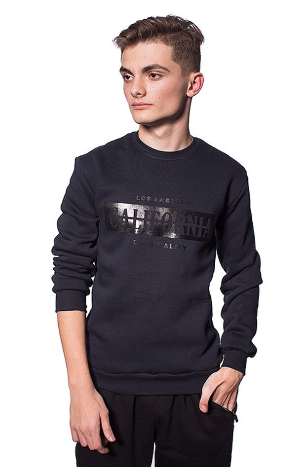 Чоловічий світшот california 5335, 5347