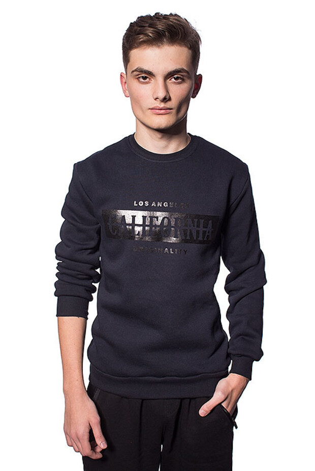 Чоловічий світшот california 5335, 5347