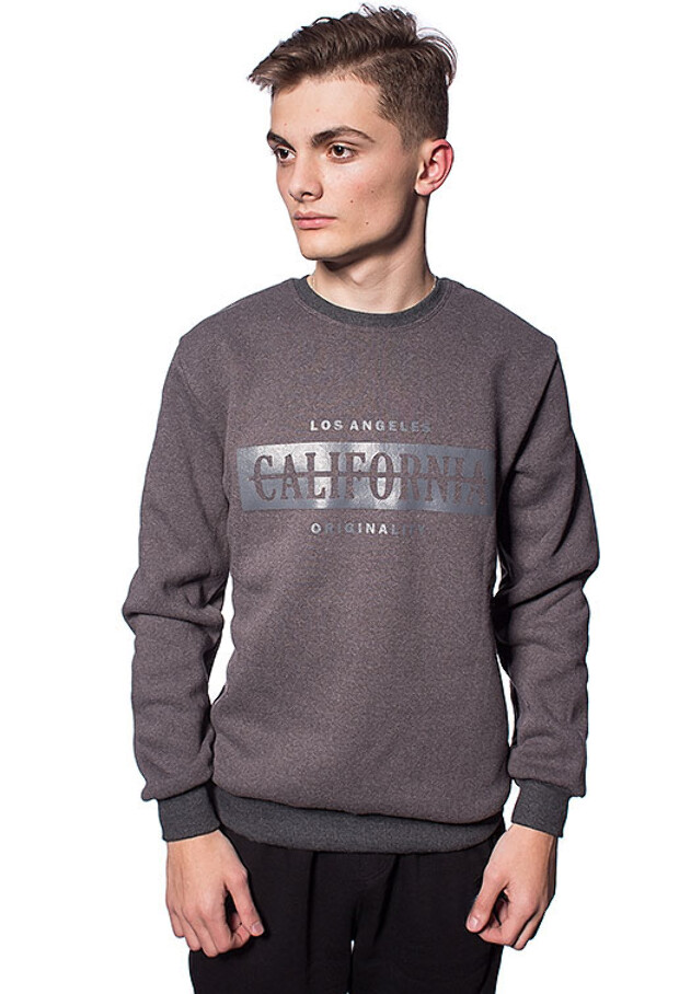 Чоловічий світшот california 5335, 5347