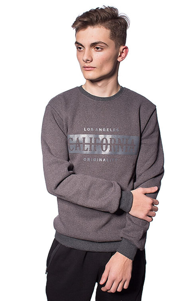 Чоловічий світшот california 5335, 5347