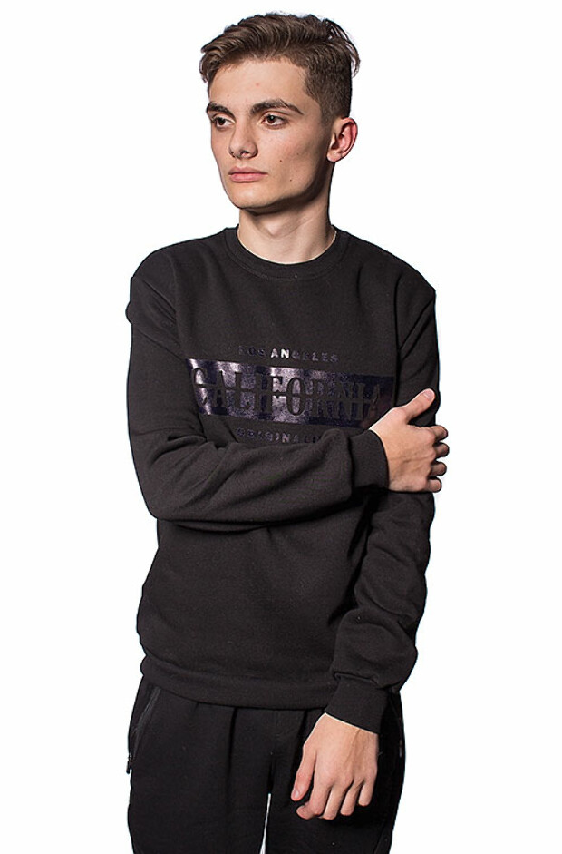 Чоловічий світшот california 5335, 5347