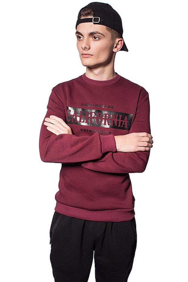 Чоловічий світшот california 5335, 5347