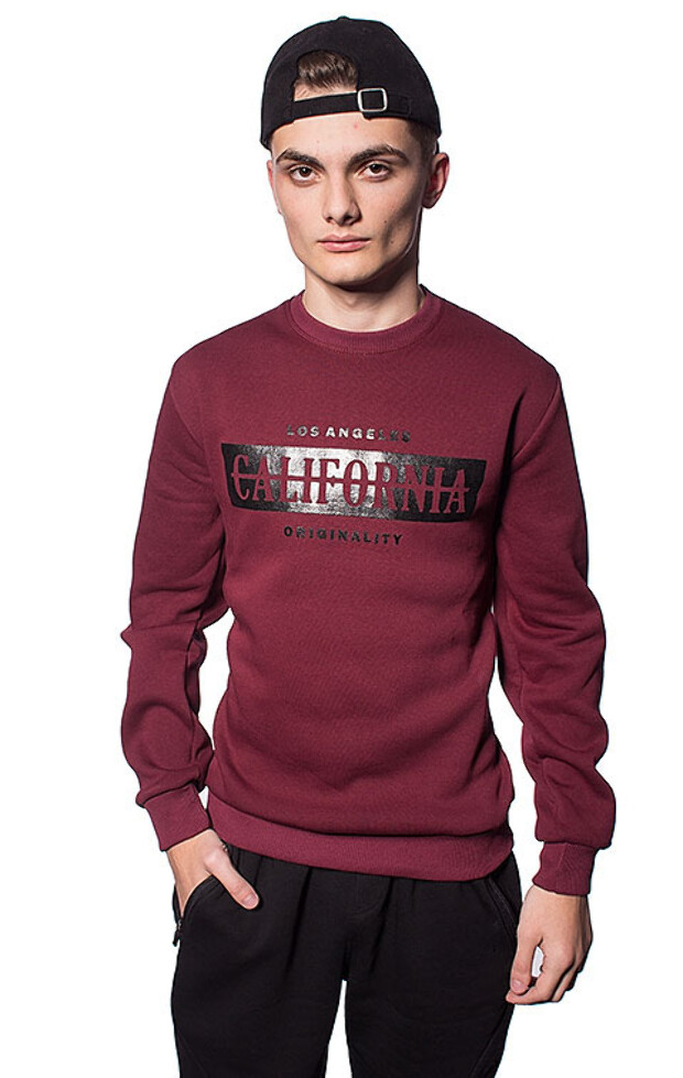 Чоловічий світшот california 5335, 5347