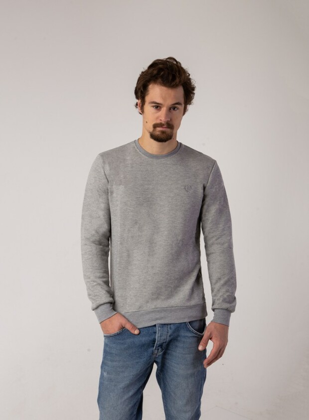 Світшот однотонний з вишивкою hector 5387