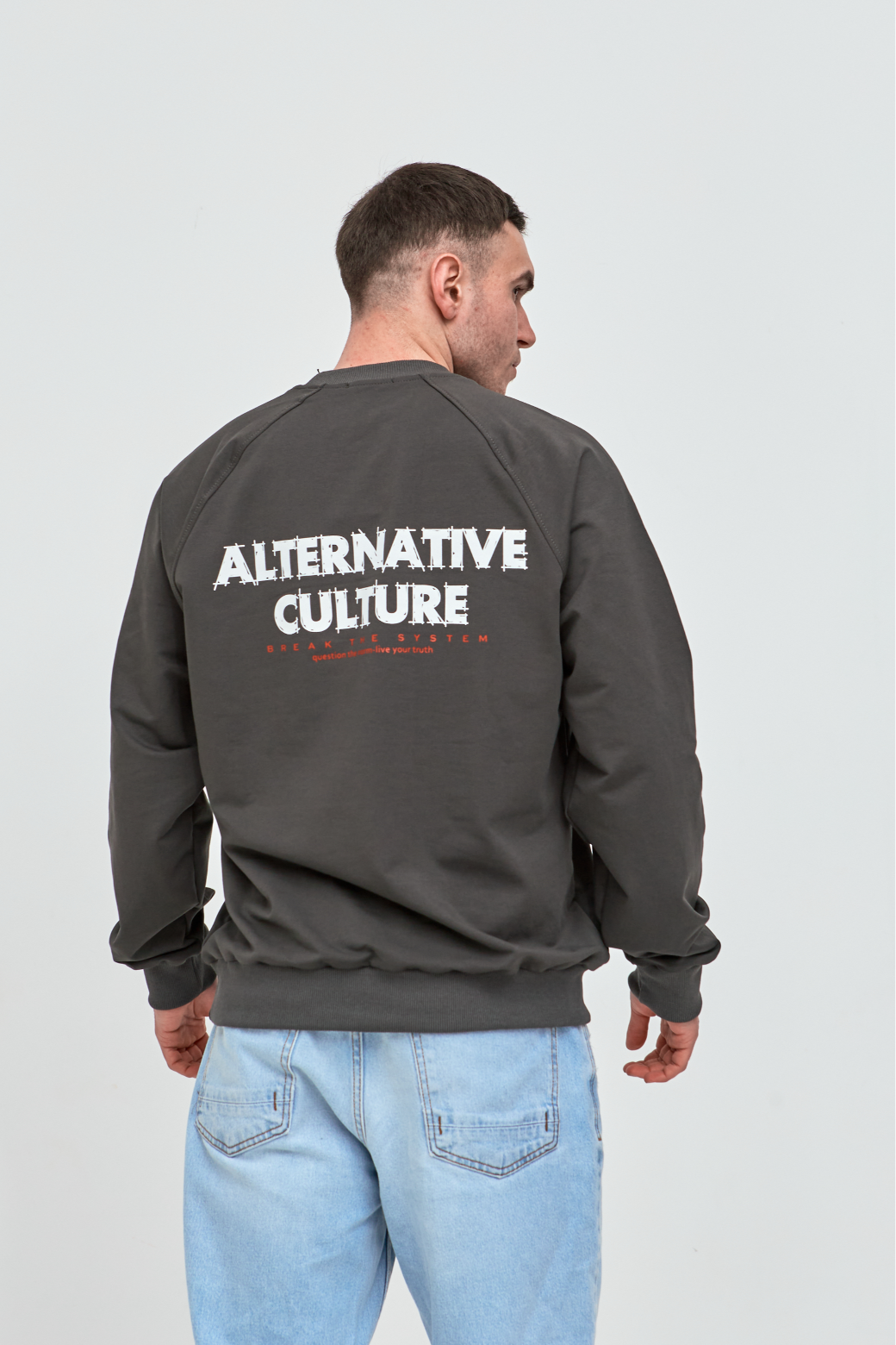 Чоловічий світшот-реглан oversize ALTERNATIVE CULTURE 17652