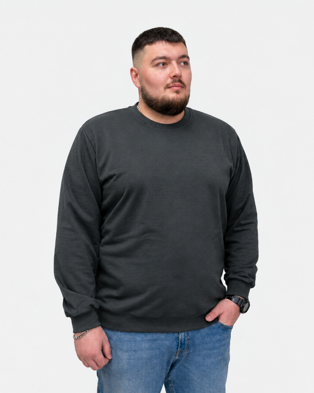 Чоловічий світшот супер батал Hector 18049