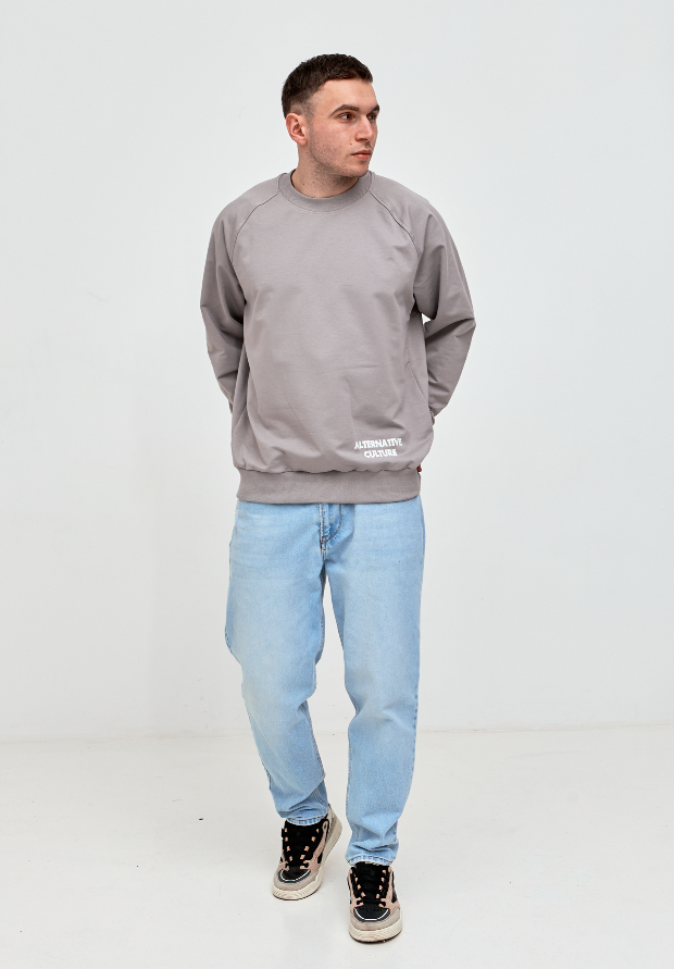 Чоловічий світшот-реглан oversize ALTERNATIVE CULTURE 17652