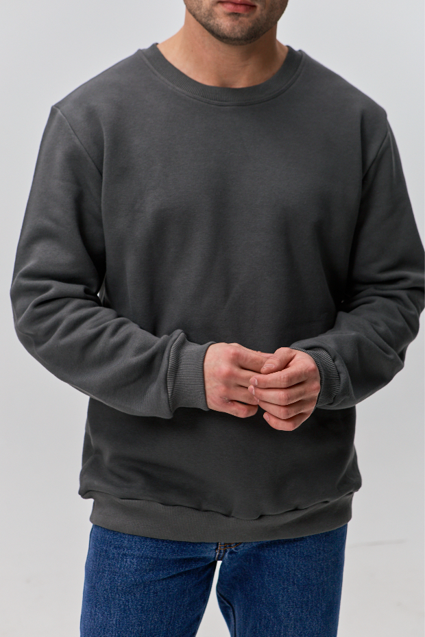 Однотонный свитшот hector 30324