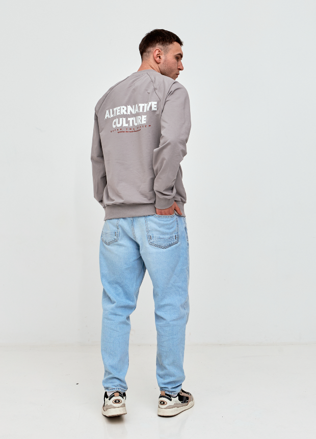Чоловічий світшот-реглан oversize ALTERNATIVE CULTURE 17652