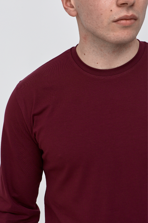 Чоловічий однотонний лонгслів 25100