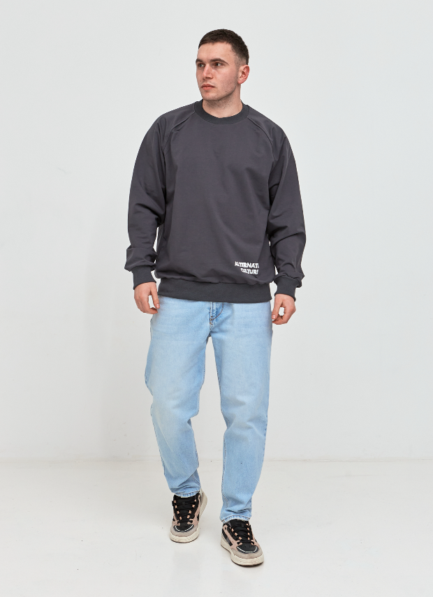 Чоловічий світшот-реглан oversize ALTERNATIVE CULTURE 17652