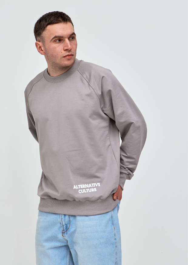 Чоловічий світшот-реглан oversize ALTERNATIVE CULTURE 17652