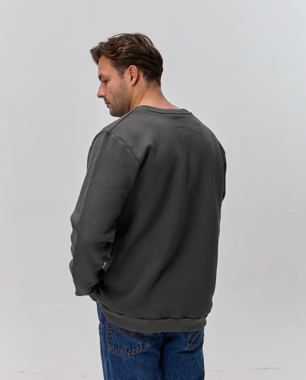 Однотонный свитшот hector 30324