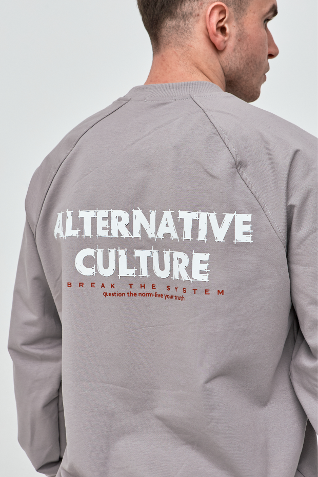 Чоловічий світшот-реглан oversize ALTERNATIVE CULTURE 17652